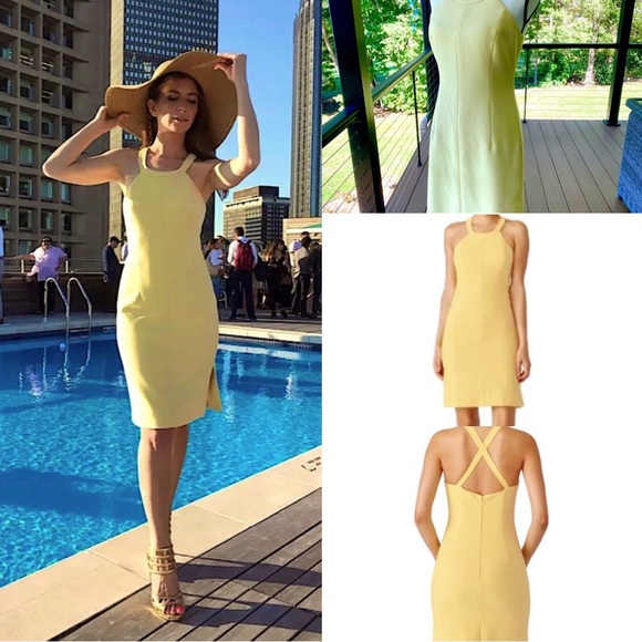 Elizabeth and James โImogenโ dress โ size 8 , Pale Yellow ! BEAUTIFUL ๐โฅ๏ธ๐ฉท - Picture 15 of 16